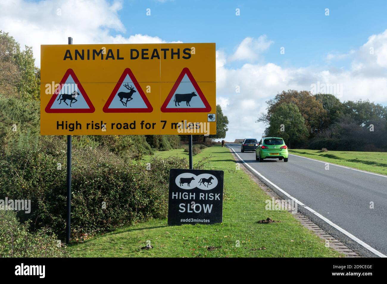 Road sign warning of animal deaths on a high risk road through the New Forest National Park with passing cars, Hampshire, England, UK Stock Photo