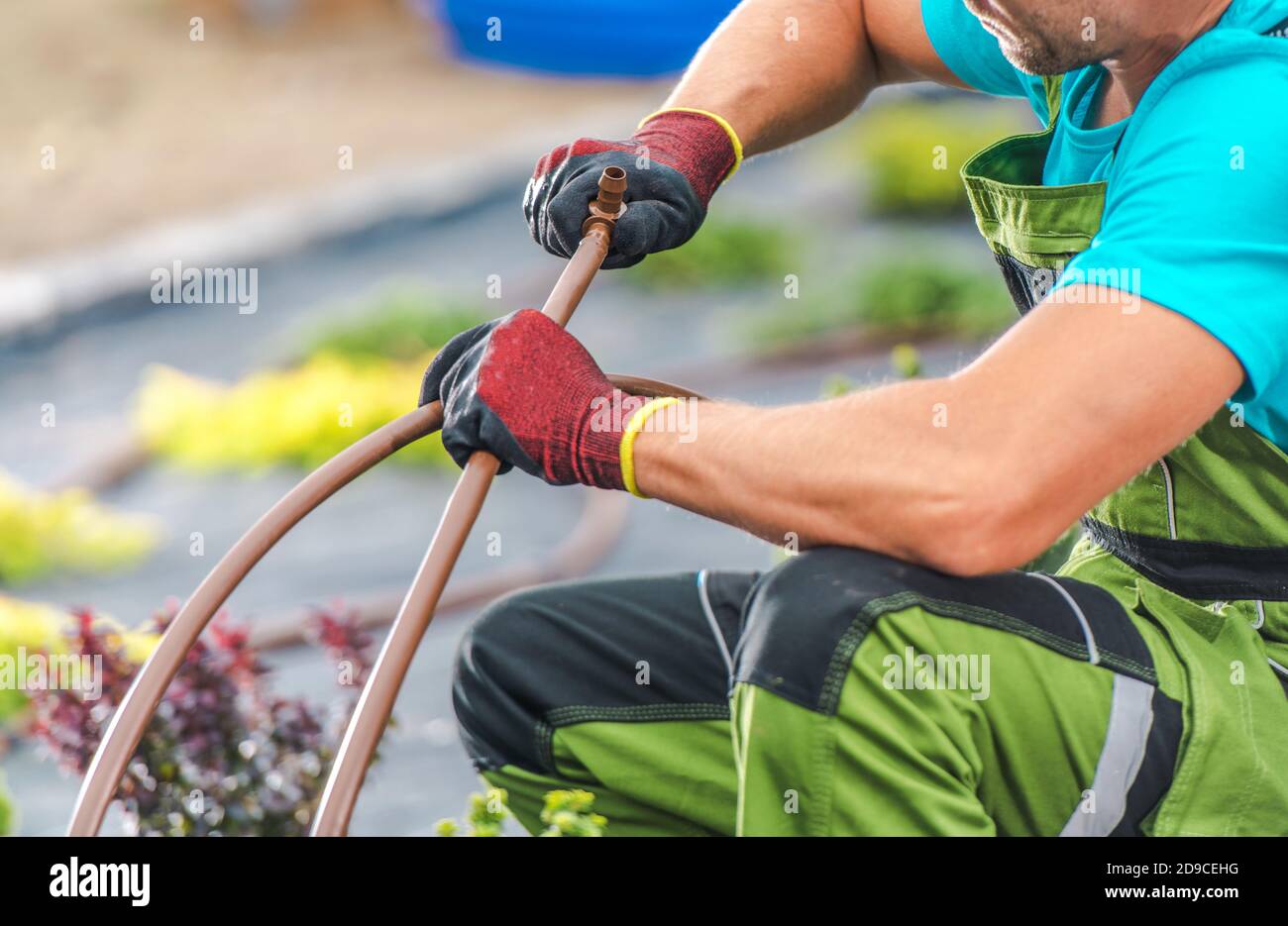 Garden irrigation hi-res stock photography and images - Alamy