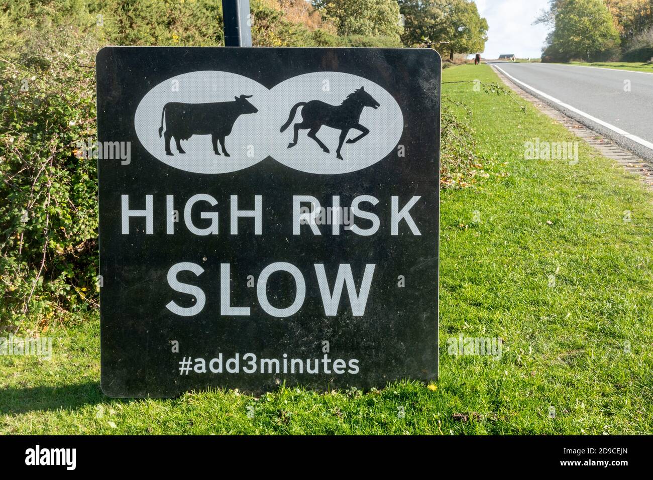 Road sign warning of animals in the road with the message High Risk Slow, add 3 minutes, New Forest National Park, Hampshire, England, UK Stock Photo