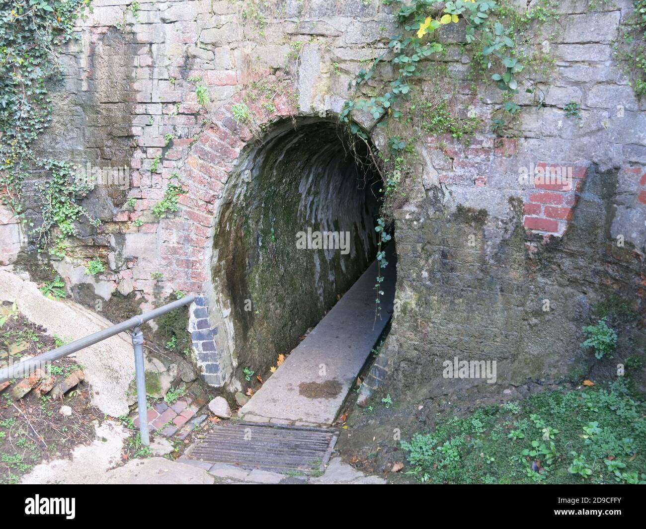 kennel gate mapperley