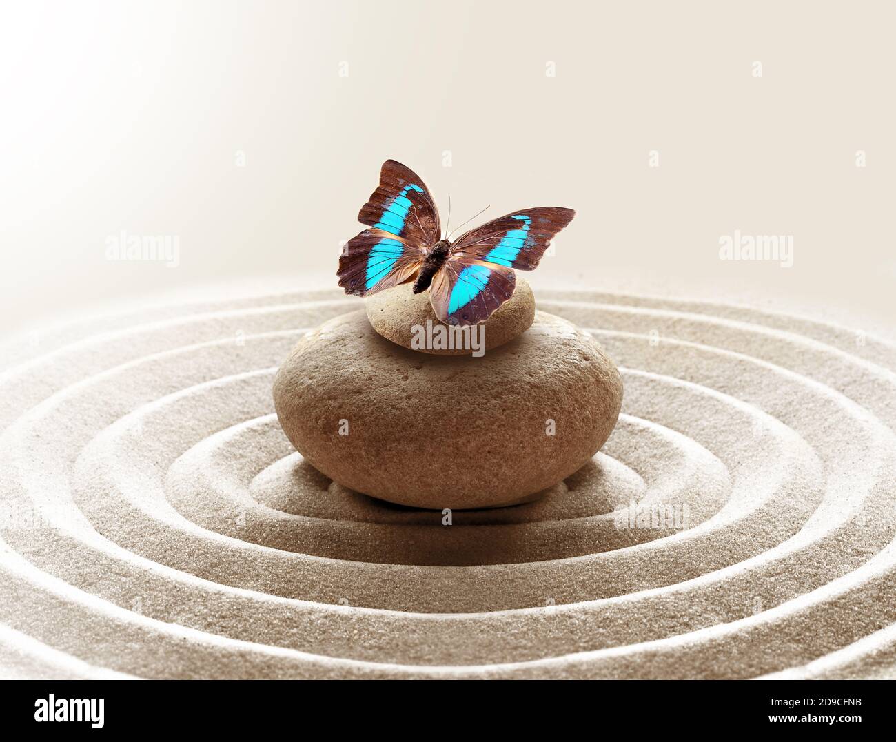 zen garden meditation stone background and butterfly with stones and circles in sand for relaxation balance and harmony spirituality or spa wellness. Stock Photo