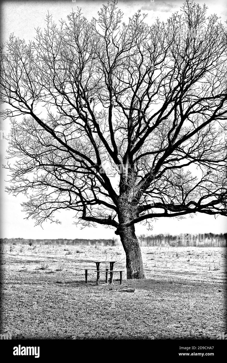 Remote plain Black and White Stock