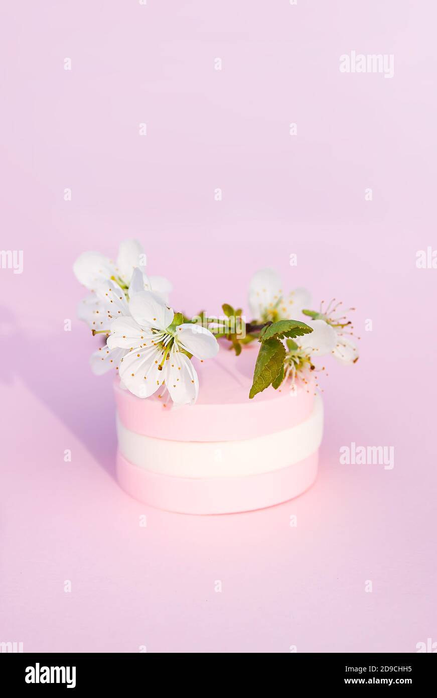 Sponge Spring Flowers Cosmetic sponges and cherry tree branch with spring flowers on pink ...
