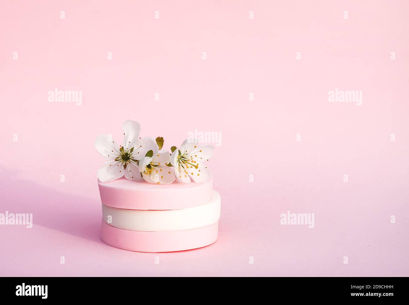 Sponge Spring Flowers Cosmetic sponges and cherry tree branch with spring flowers on pink ...