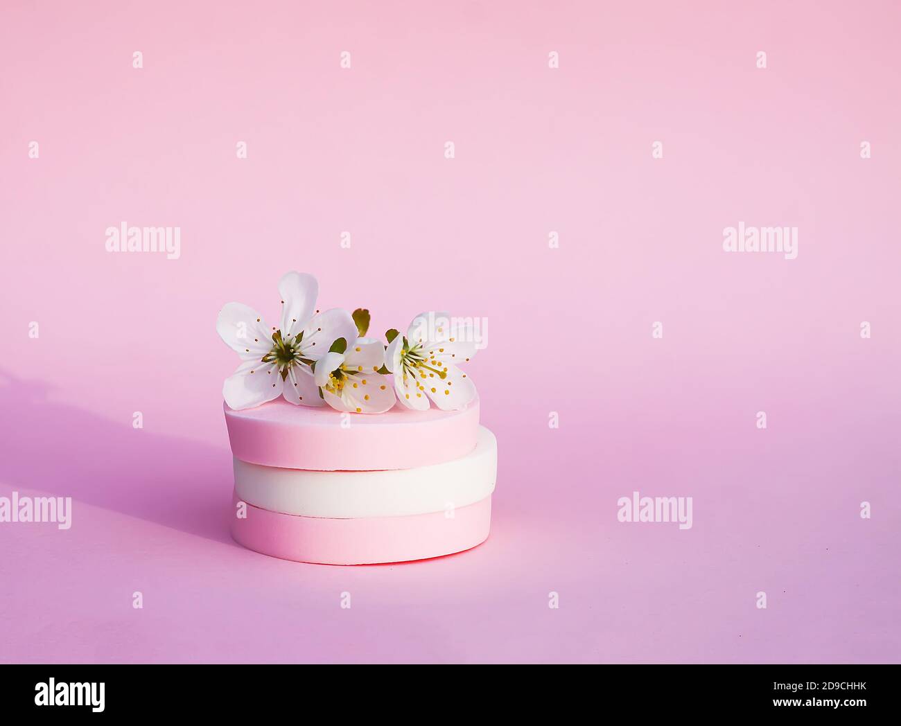 Sponge Spring Flowers Cosmetic sponges and cherry tree branch with spring flowers on pink ...