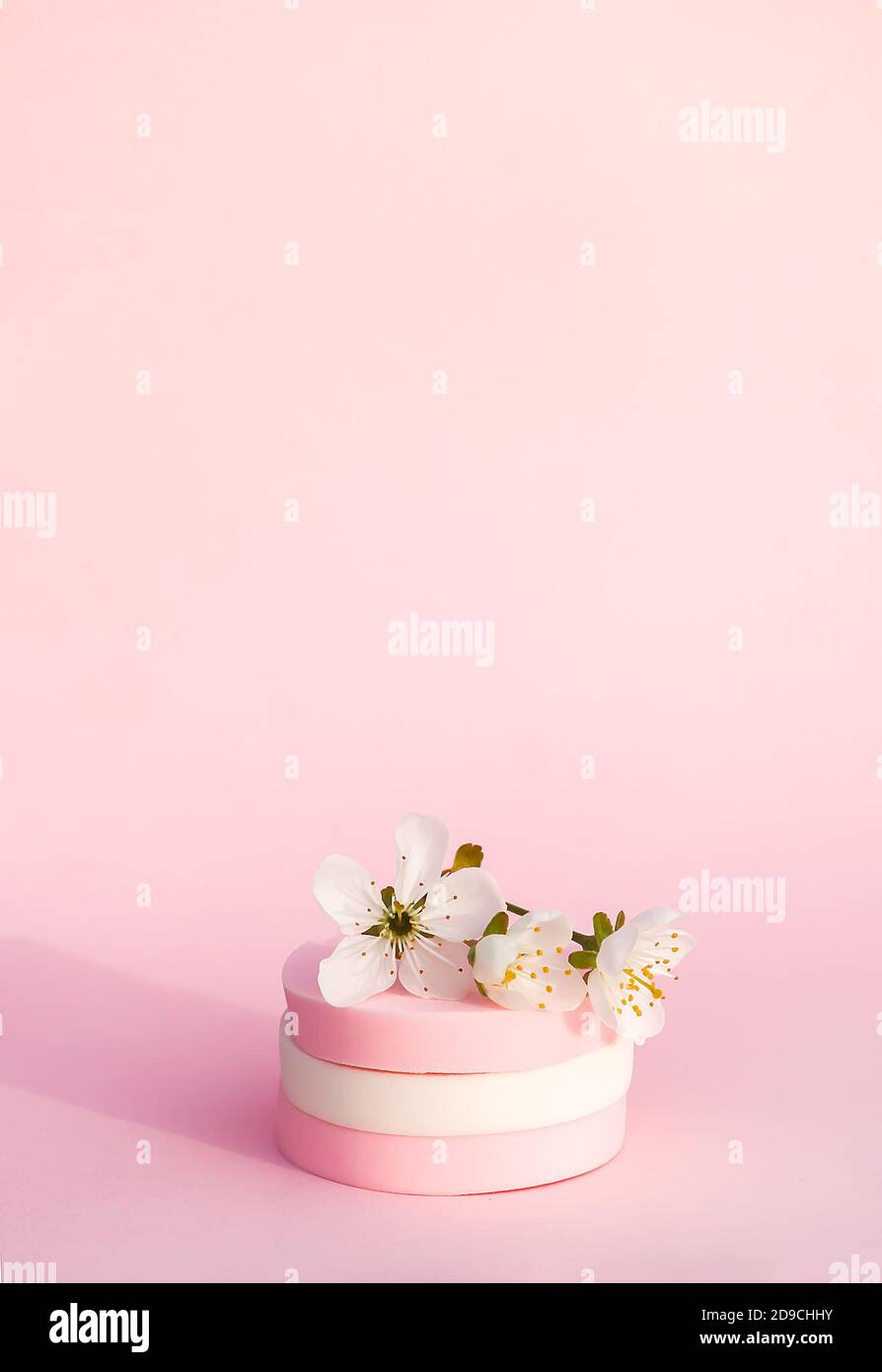 Sponge Spring Flowers Cosmetic sponges and cherry tree branch with spring flowers on pink ...