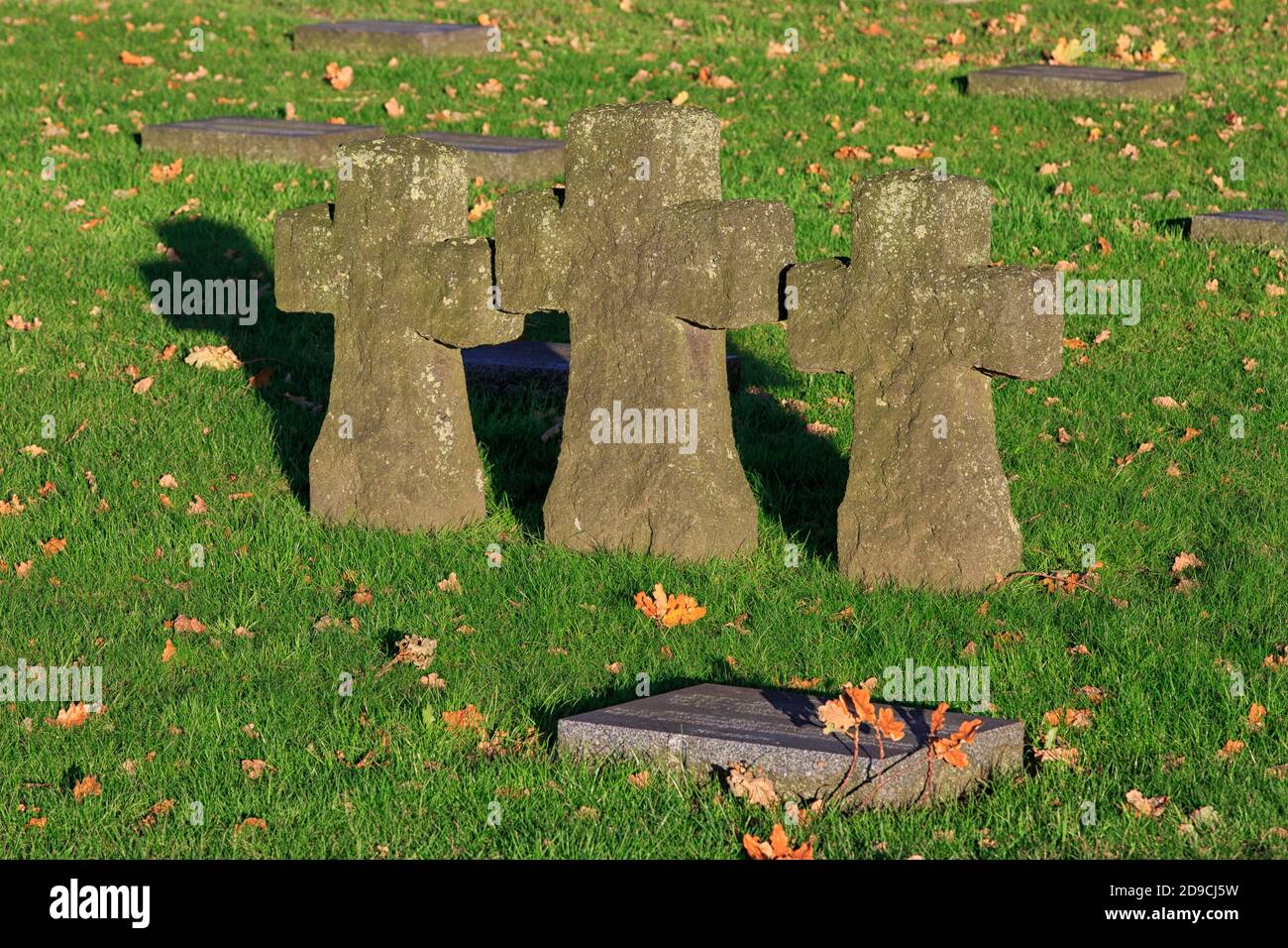 Stone crosses and World War I graves at Langemark German war cemetery in Langemark-Poelkapelle, Belgium Stock Photo