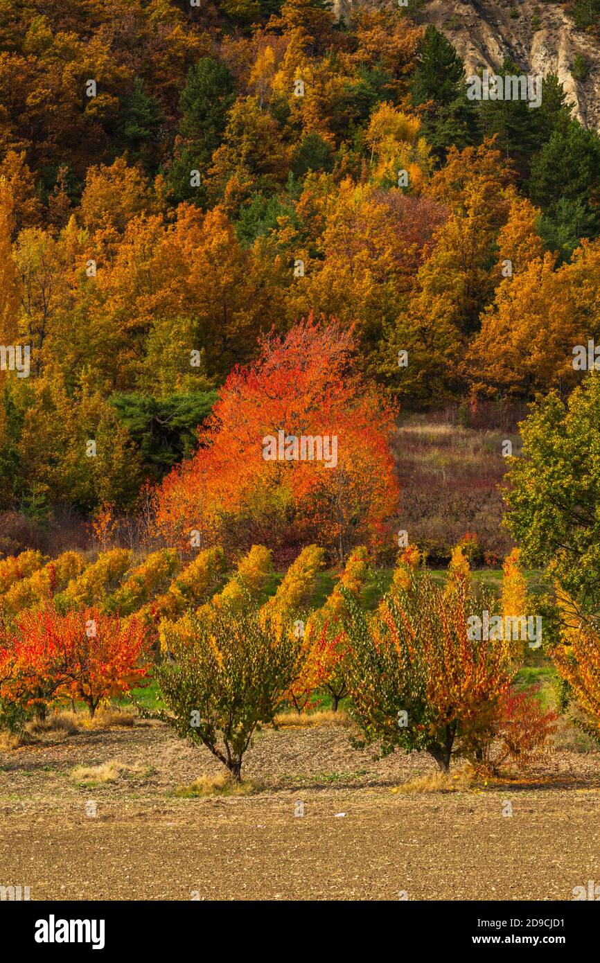 Autumn colours in the French countryside Stock Photo