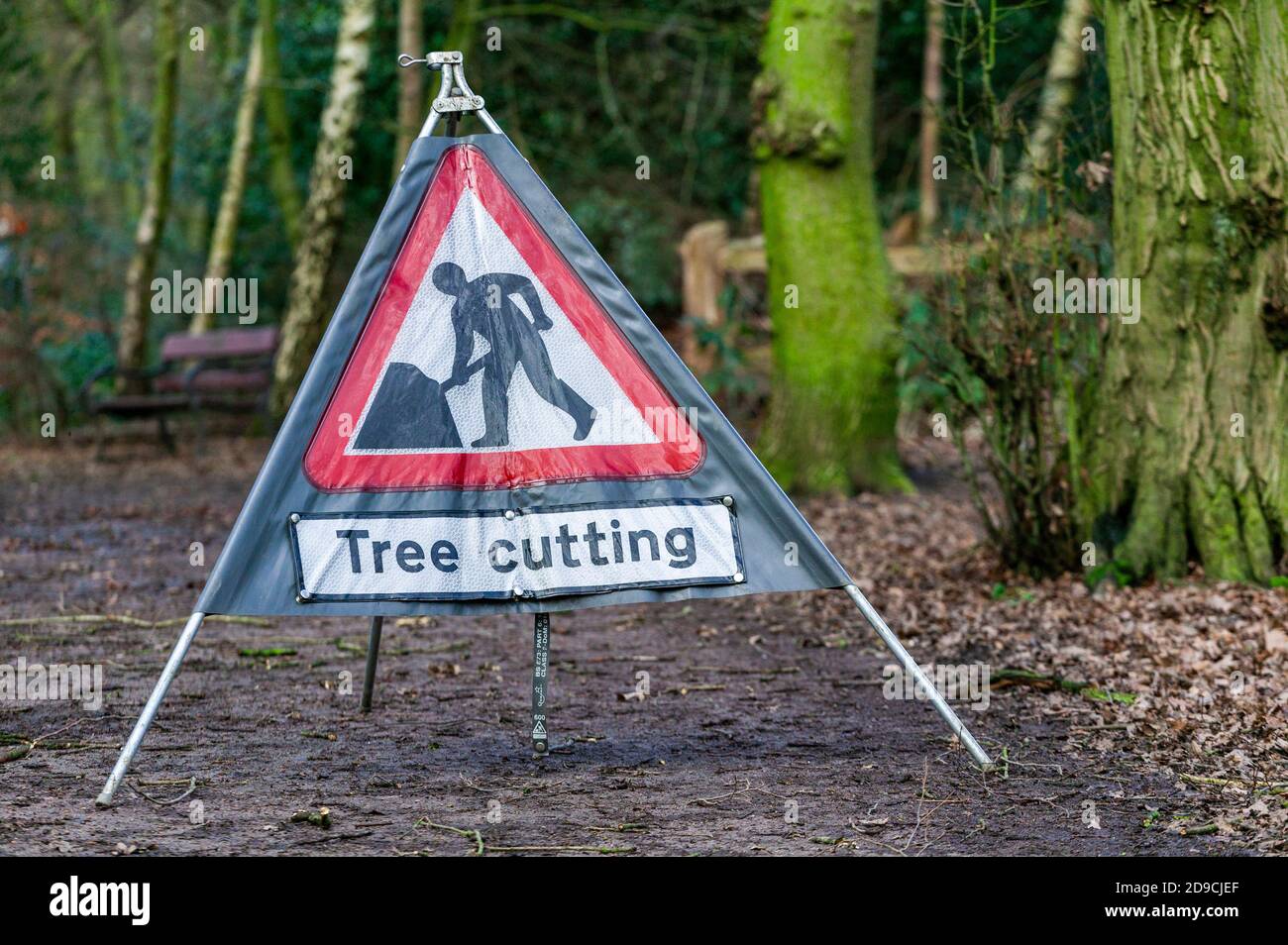Tree cutting warning sign in Highgate Wood, London, England, United Kingdom Stock Photo