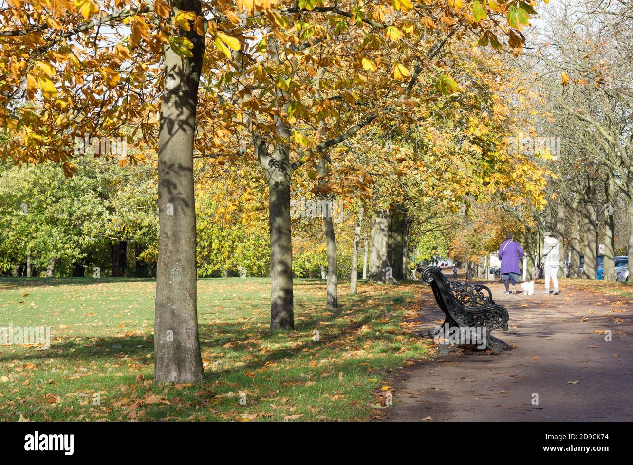 Sun shining on  mother and daughter walking their dog in Greenwich park  England Stock Photo