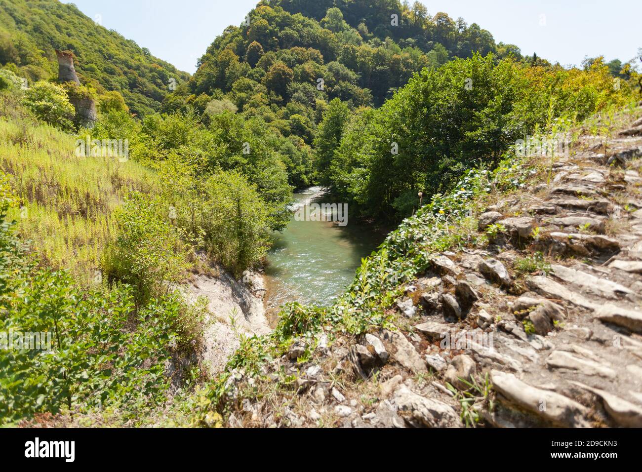 Mountain river among green trees Stock Photo