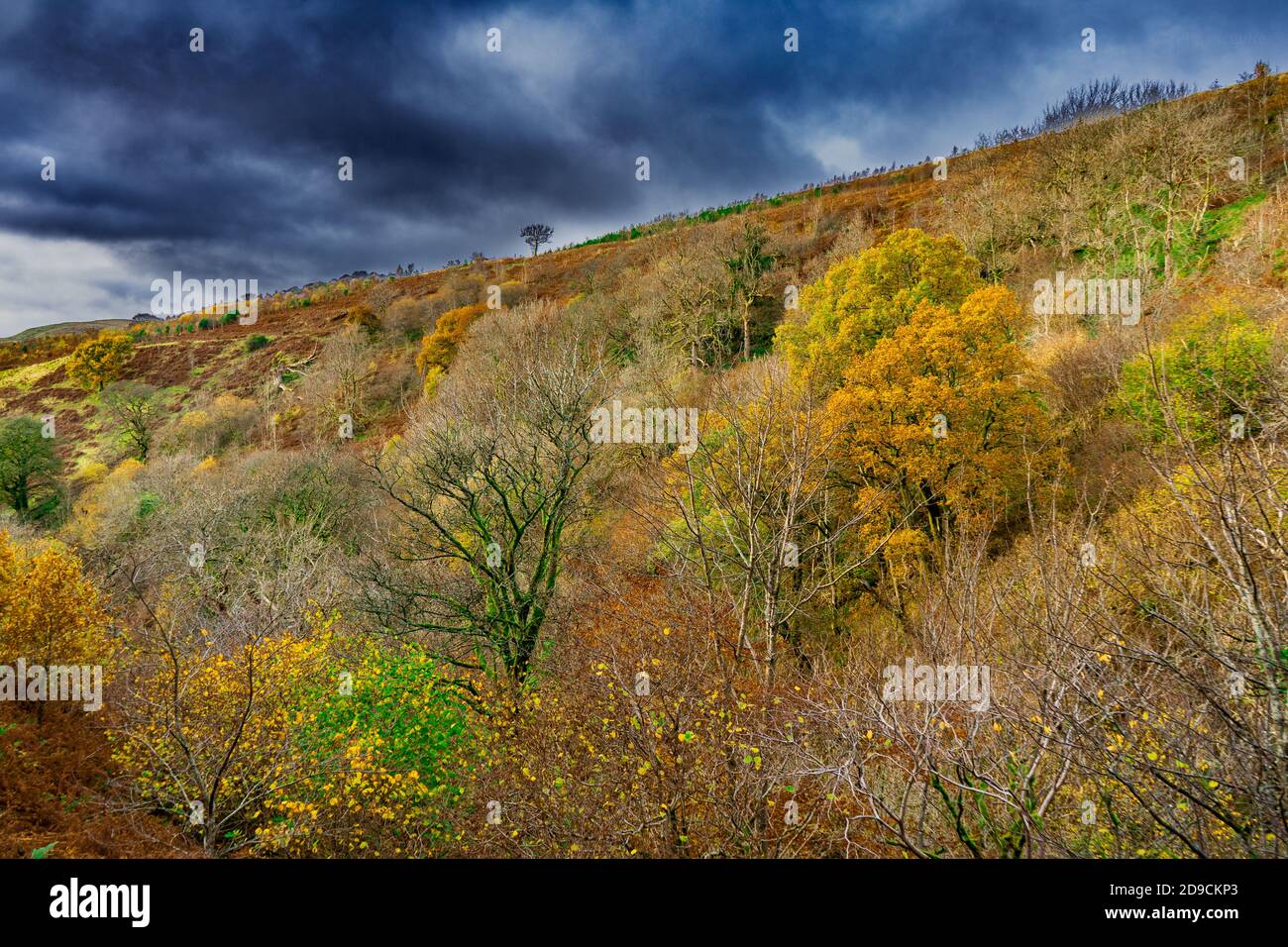 campsie glen waterfall Stock Photo - Alamy