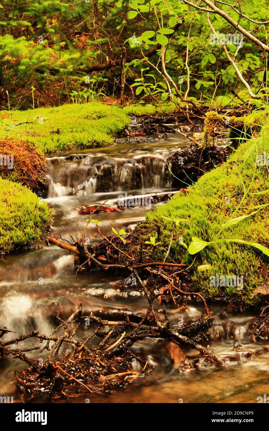Water flows wherever it pleases Stock Photo - Alamy - Where It Flows