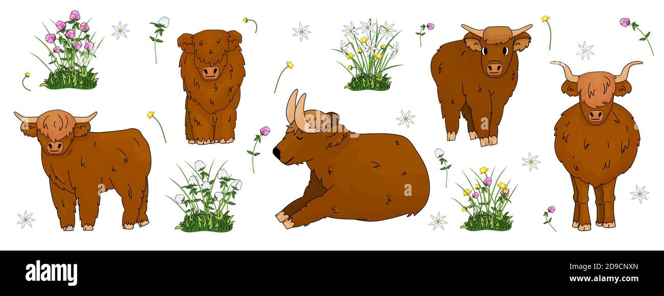 Set of hand drawn small and big highland brown cows, which are sitting, standing, lying on the ground with flowers, meadow clover, buttercup and daffodils Stock Vector