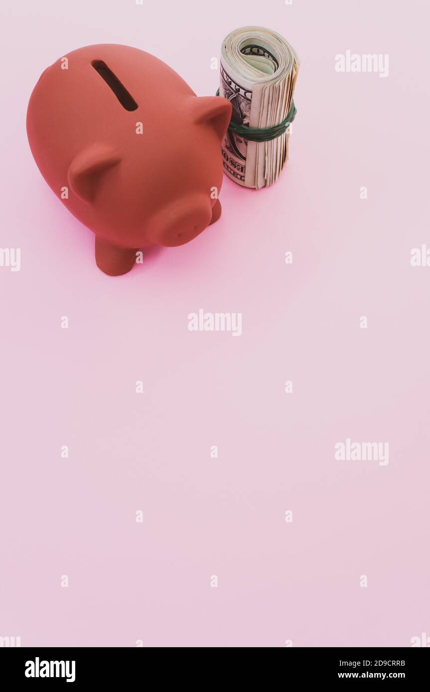 Vertical shot of dollar bills and a piggy bank on a pink surface Stock ...