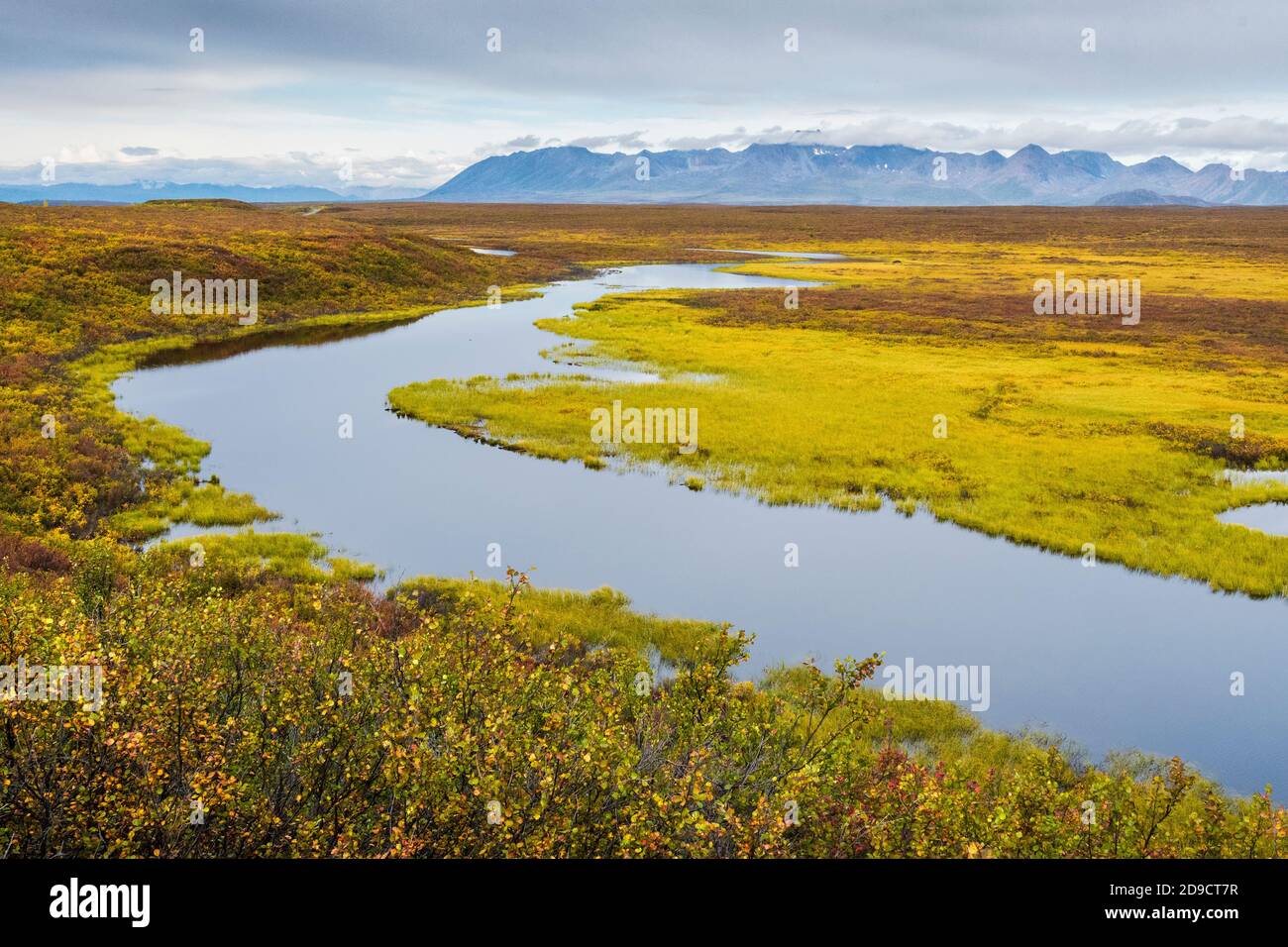 North America; United States; Alaska; Alaska Range Mountains; Tundra