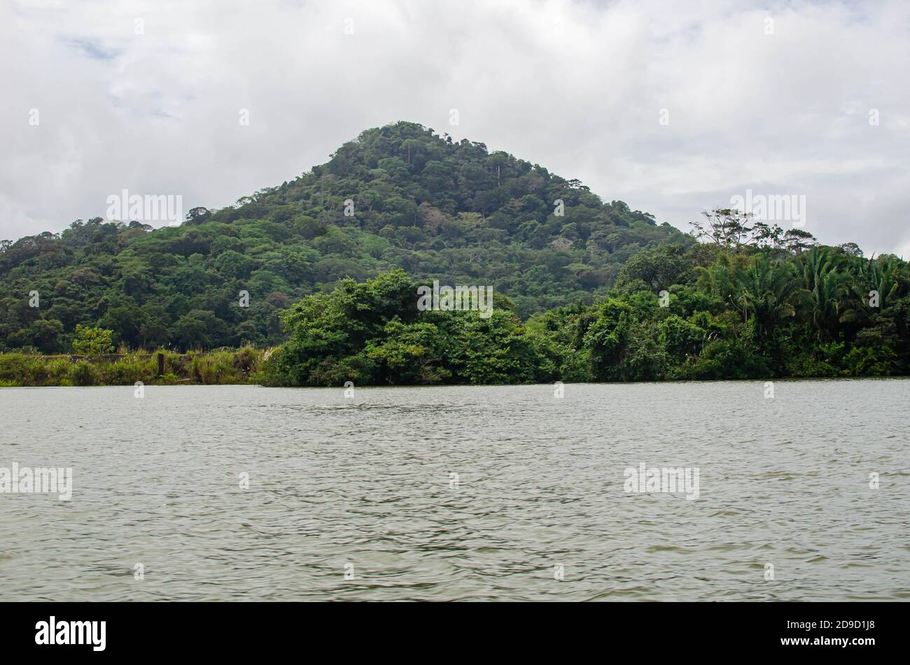 Forests in the canal area of Panama Stock Photo