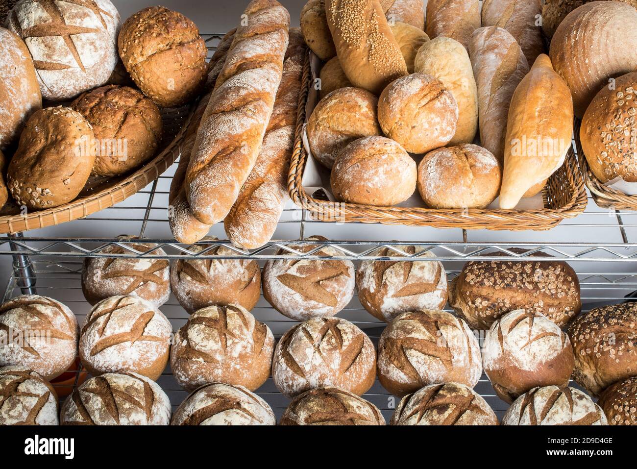 A assortment of different types of artisan bread displayed at a bakery