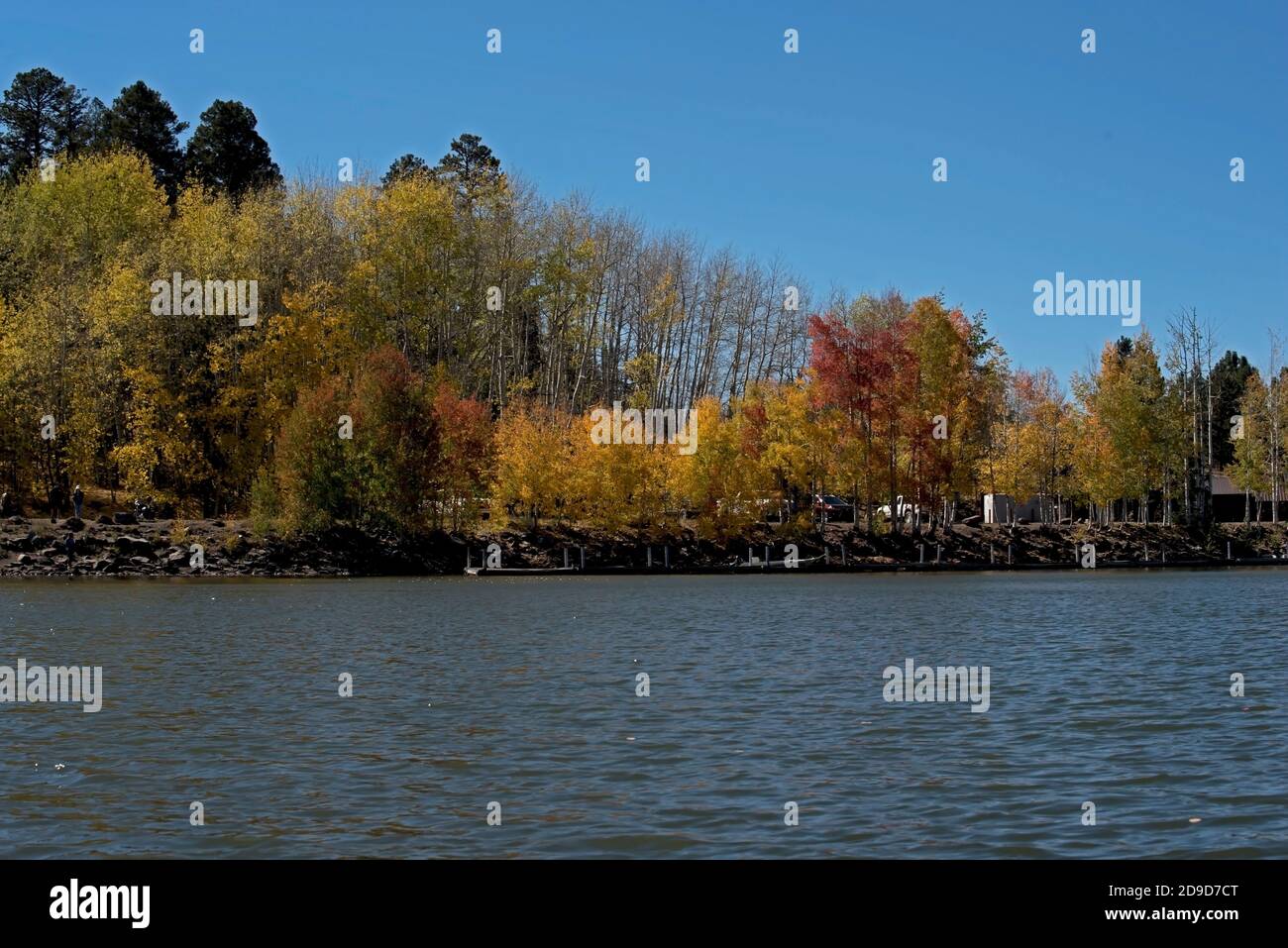 Fall colors in northeast Arizona Stock Photo Alamy