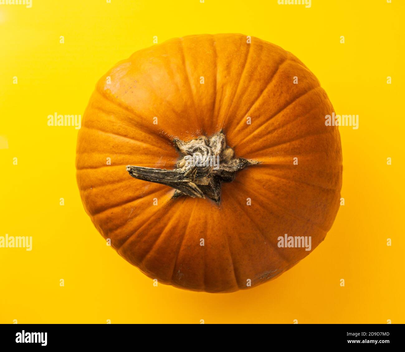 Orange pumpkin isolated over the yellow background top view Stock Photo ...