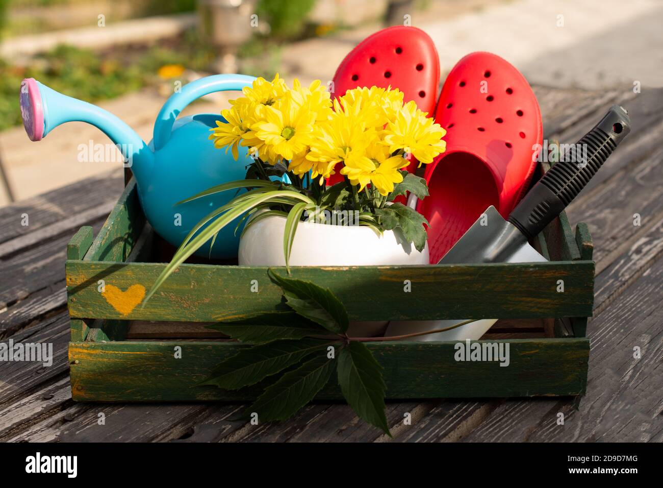 Gardening. work in the garden. tools, watering can and flower in a pot on a background of green leaves. Copy space. Stock Photo