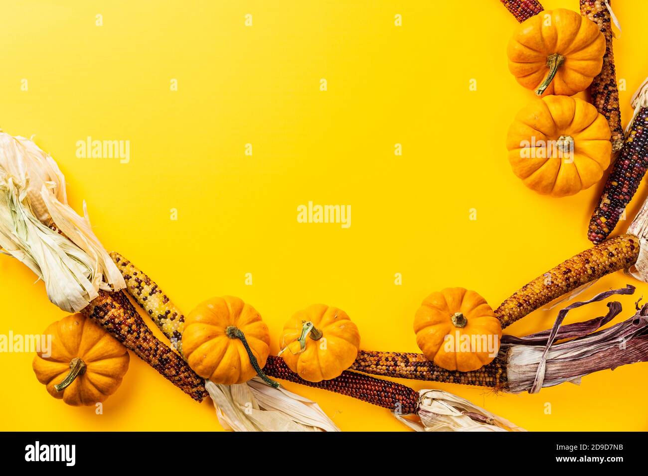 autumn pumpkins and corn on yellow clean background with copy space. Stock Photo