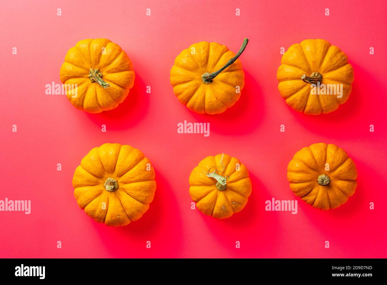 group of orange pumpkins isolated over the red background top view ...