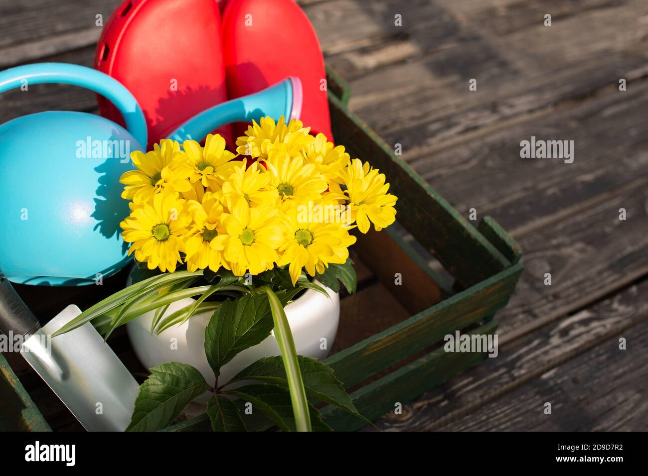Gardening. work in the garden. tools, watering can and flower in a pot on a background of green leaves. Copy space. Stock Photo