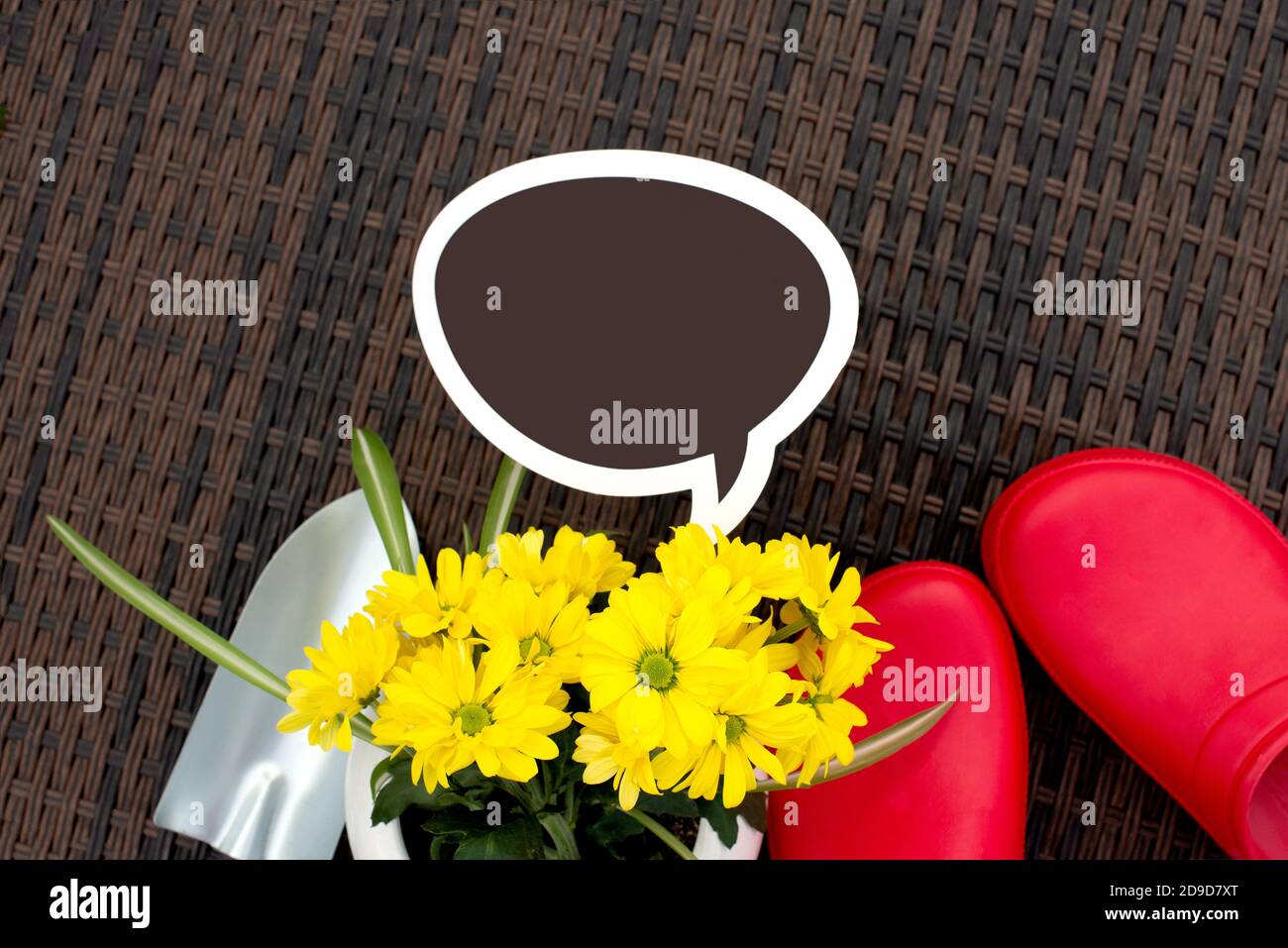 Gardening. work in the garden. tools, watering can and flower in a pot on wicker rattan background. Copy space. Black chalk Stock Photo