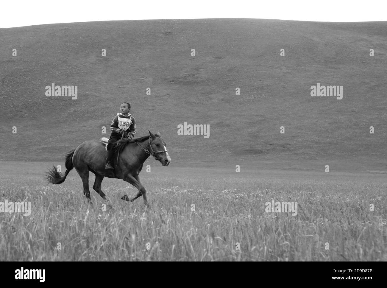 Naadam Festival Mongolia Stock Photo - Alamy