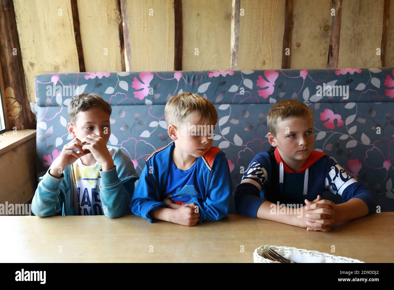Three brothers waiting food at table in restaurant Stock Photo Alamy