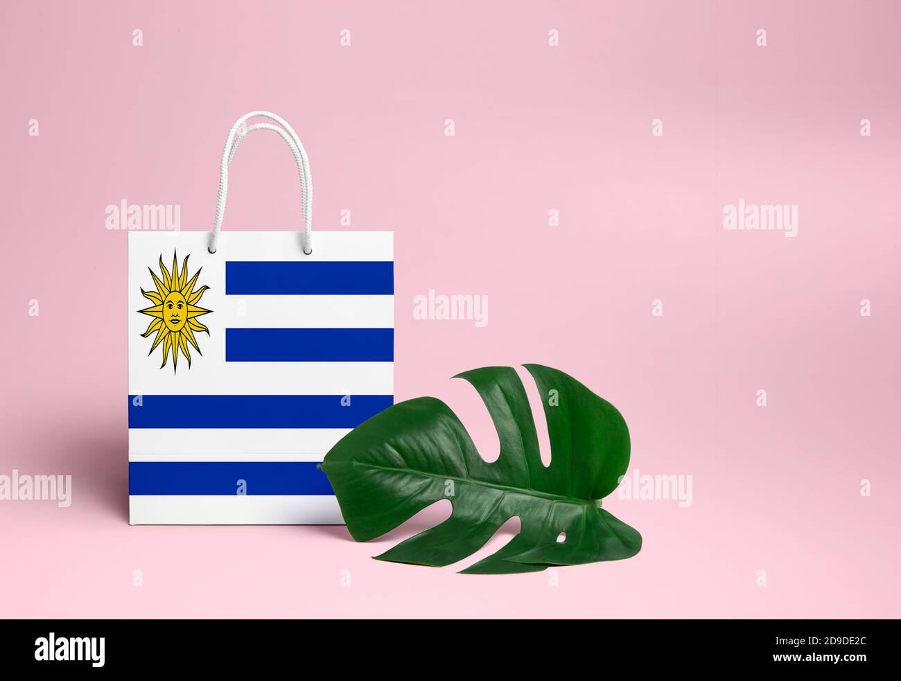 Uruguay shopping concept. National cardboard shopping bag with monstera