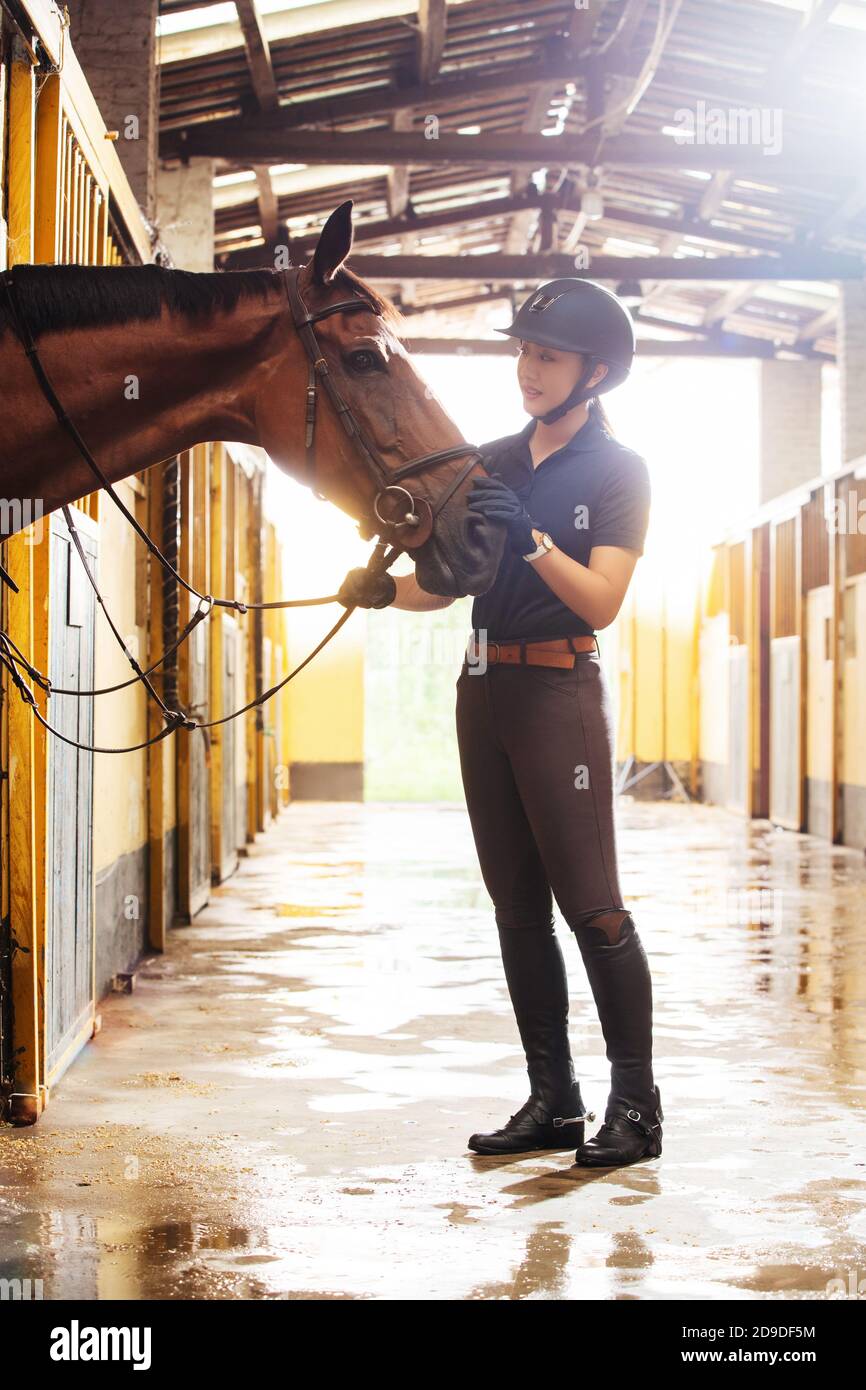 The young woman in the stable and horse Stock Photo - Alamy