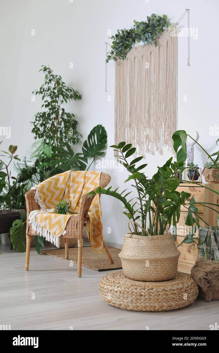 Wicker chair with a plaid in a cozy boho-style interior Stock Photo