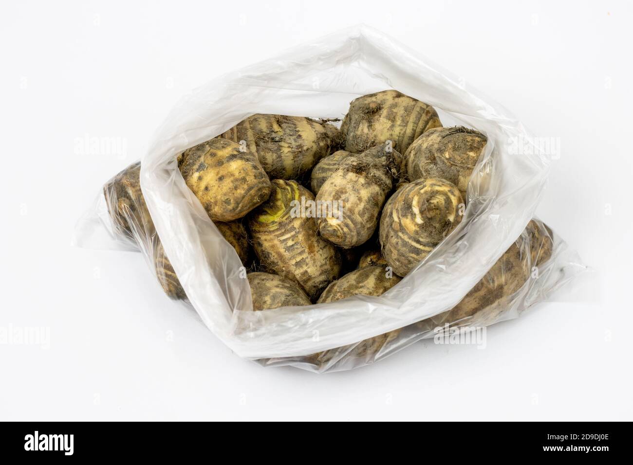 Fresh organic jerusalem artichoke inside of transparent white polythene isolated on white background Stock Photo