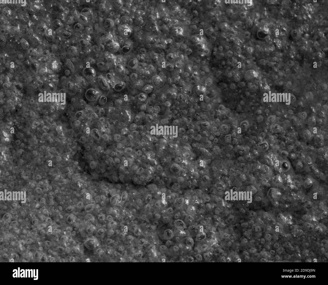 Black and white closeup of air bubbles on the water surface, foam in the form of bubbles, selective focus, top view Stock Photo