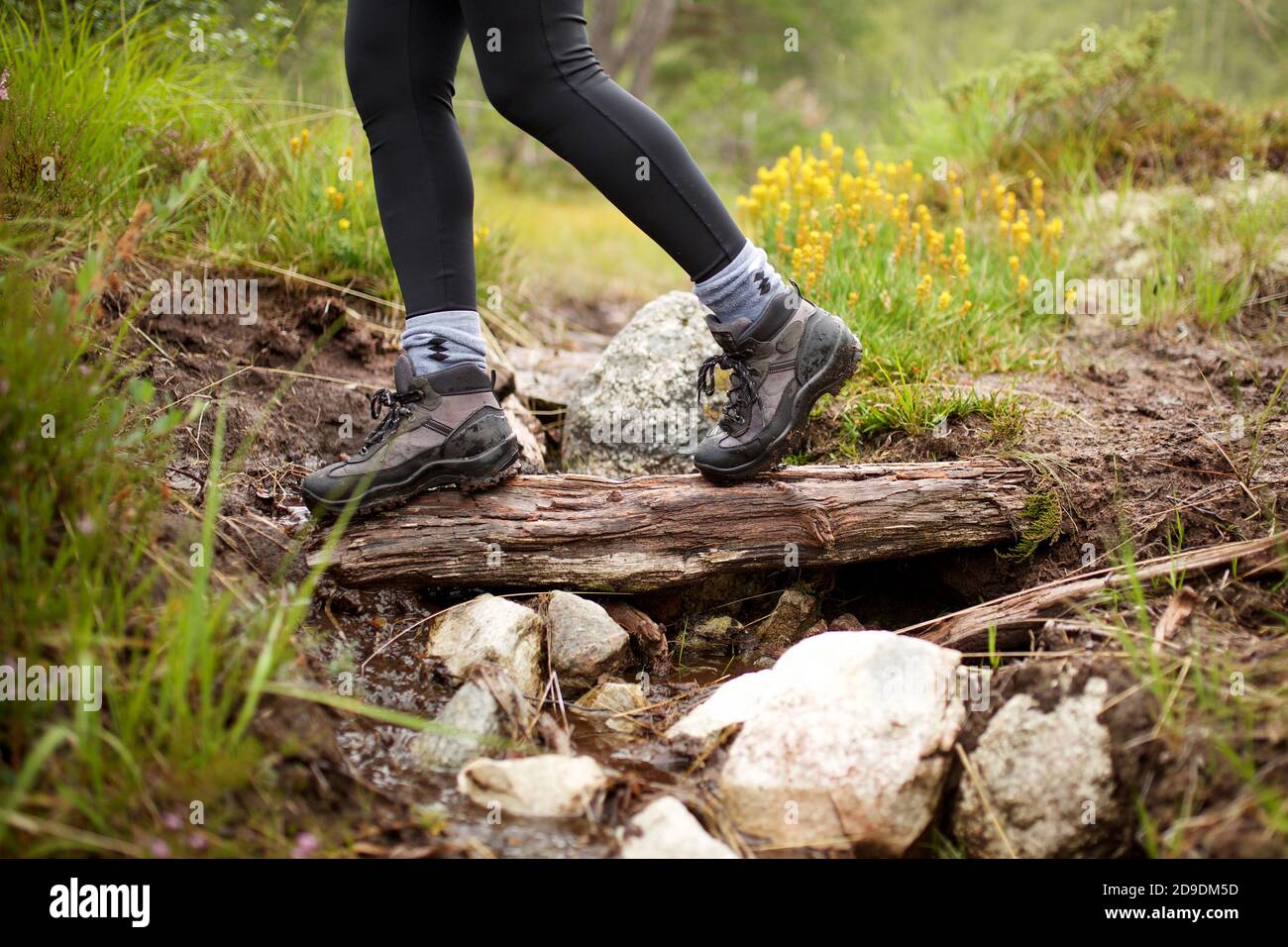 Side view hiker in boots walking across log Stock Photo - Alamy