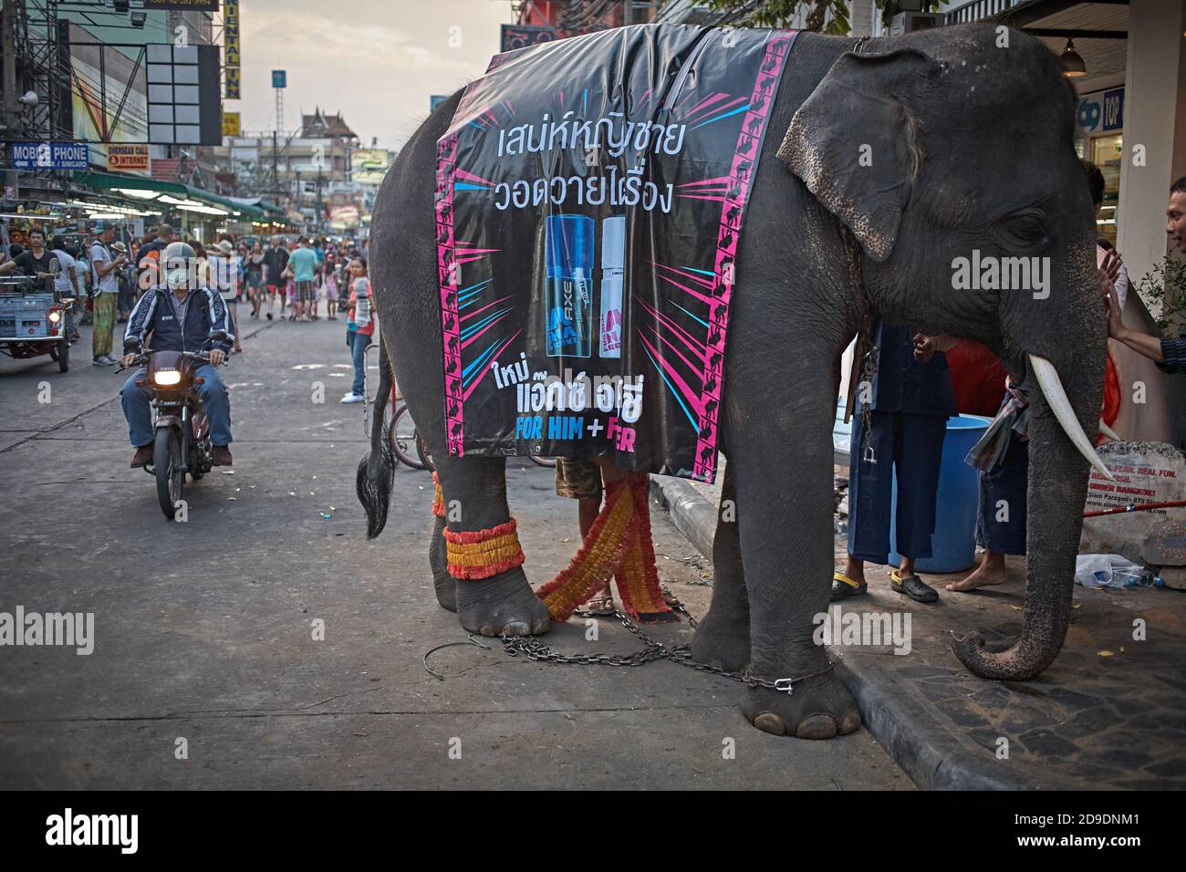 Bangkok, Thailand, March 2016.An elephant used as advertising on Khao San Road, the city's main tourist street. Stock Photo