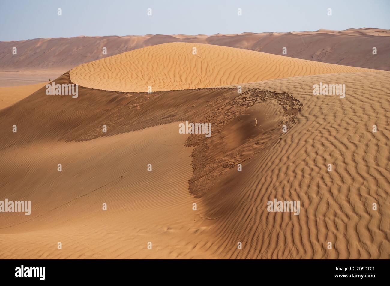 Sultanate of Oman: Sharqiya Sands, region of desert. Landscape with sand dunes Stock Photo