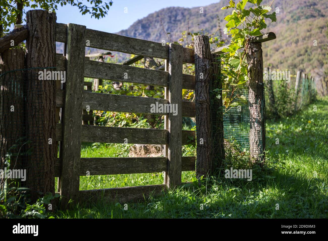 Wooden gate and fence hi-res stock photography and images - Alamy
