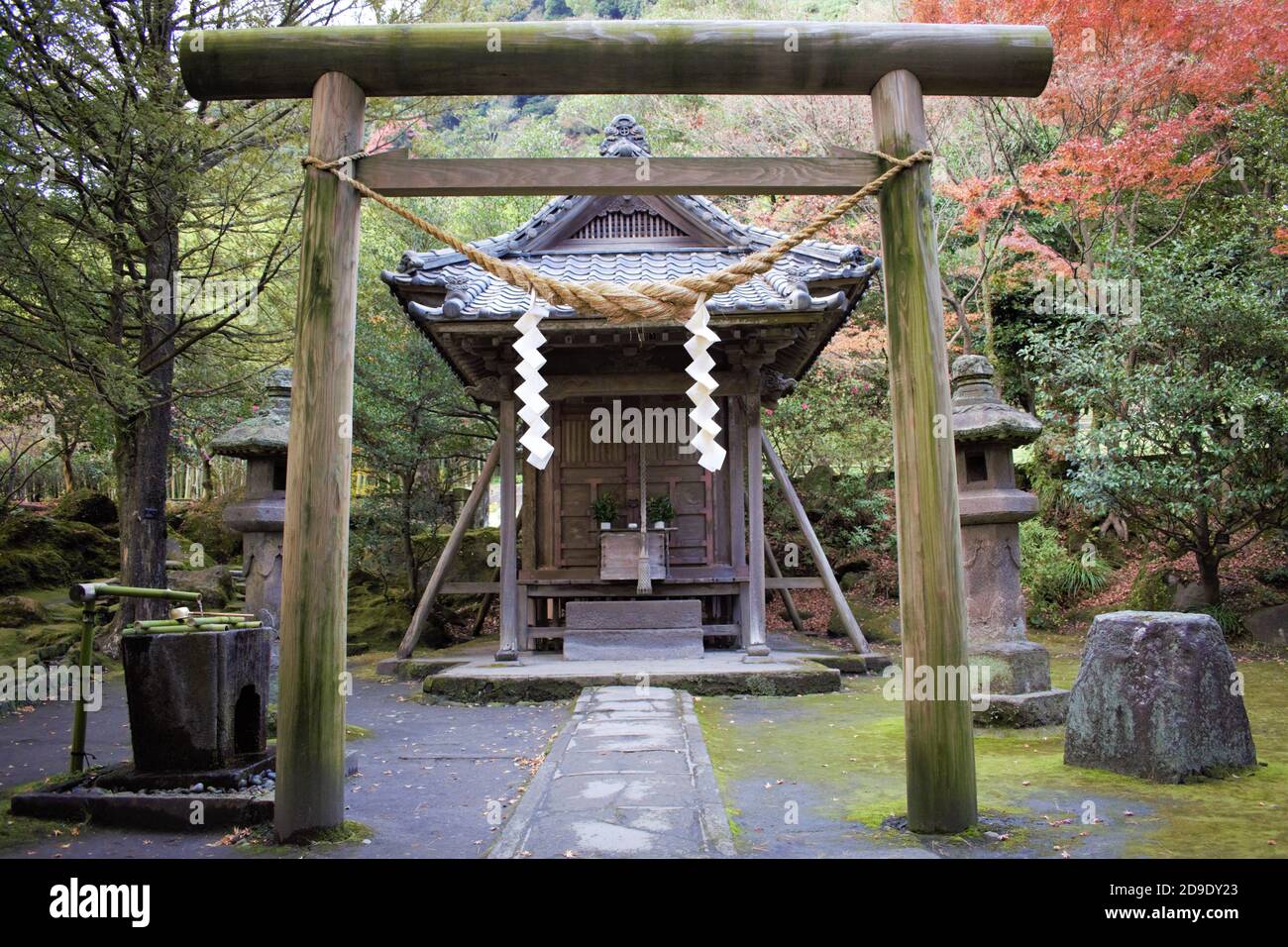 Japanese torii Shinto shrine gate in the forest, Kagoshima, Japan Stock Photo