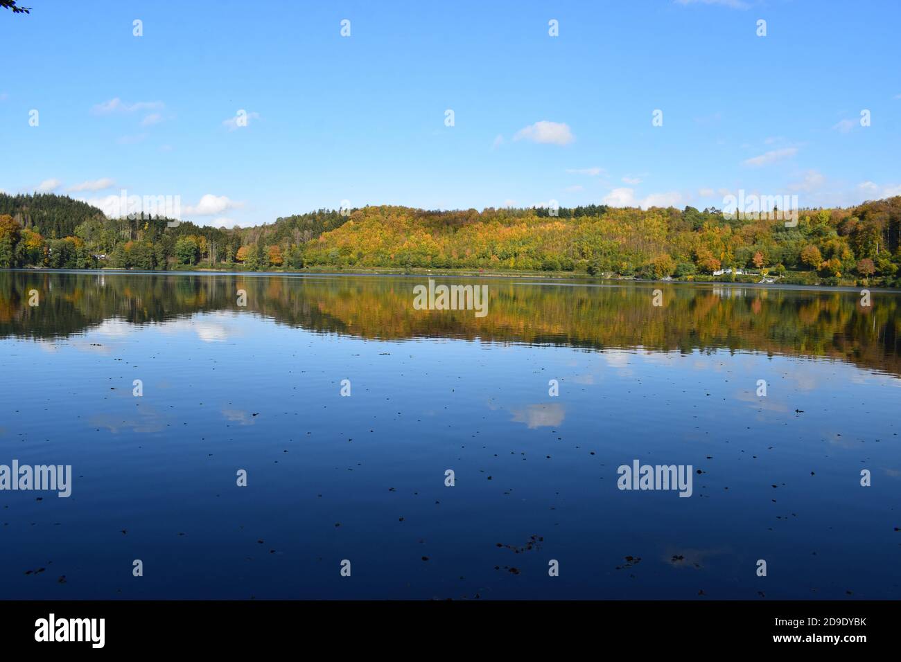 Pulvermaar in autumn Stock Photo