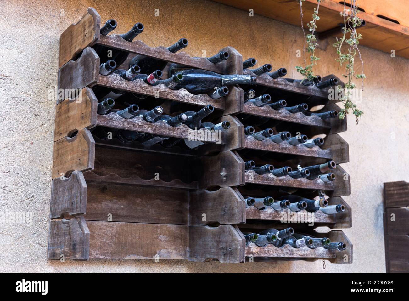 Shelf full of empty bottles of wine hanging on a wall of a building Stock Photo