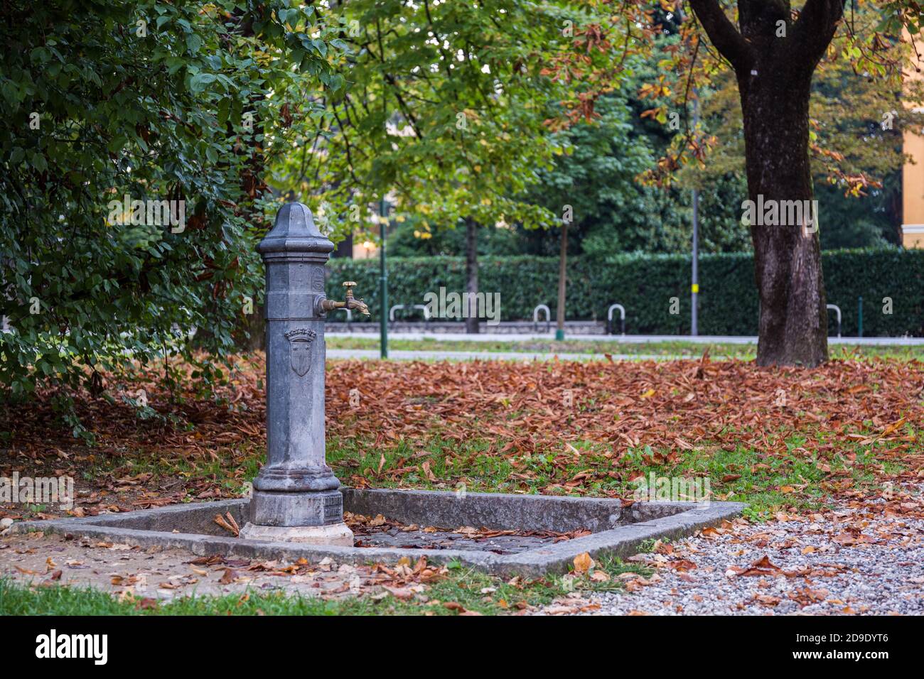 Faucet in a park source of potable water with fallen brown leaves in the background. Autumn mood Stock Photo