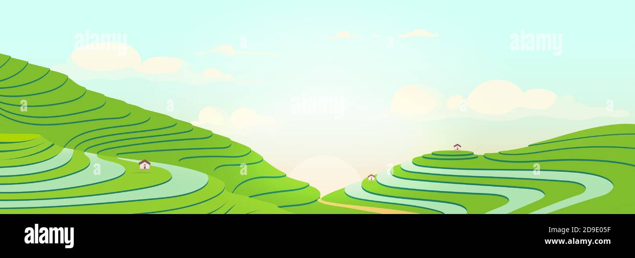 Terraced fields at sunrise flat color vector illustration Stock Vector