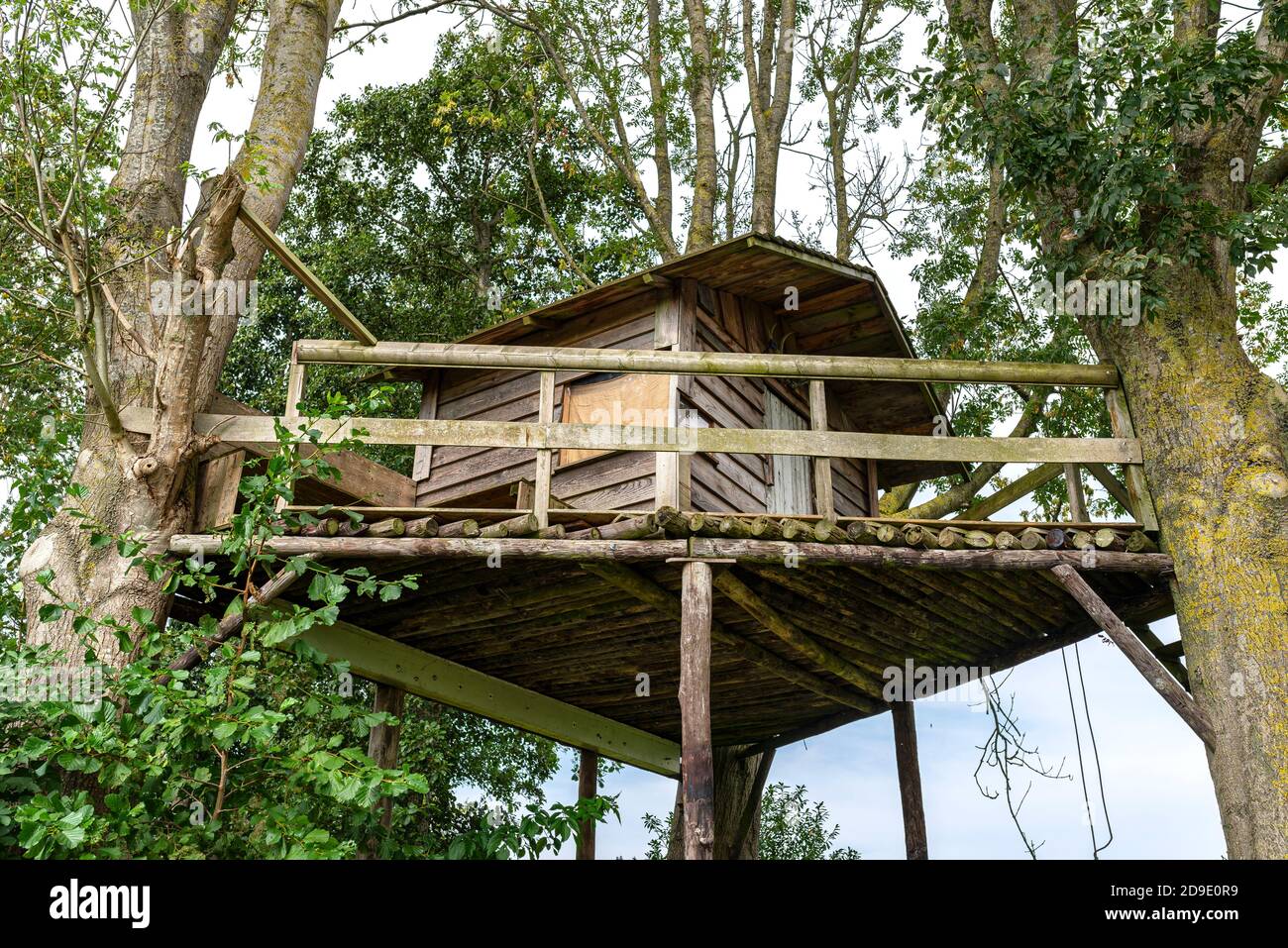 A small, wooden house built between two trees on a log deck Stock Photo ...