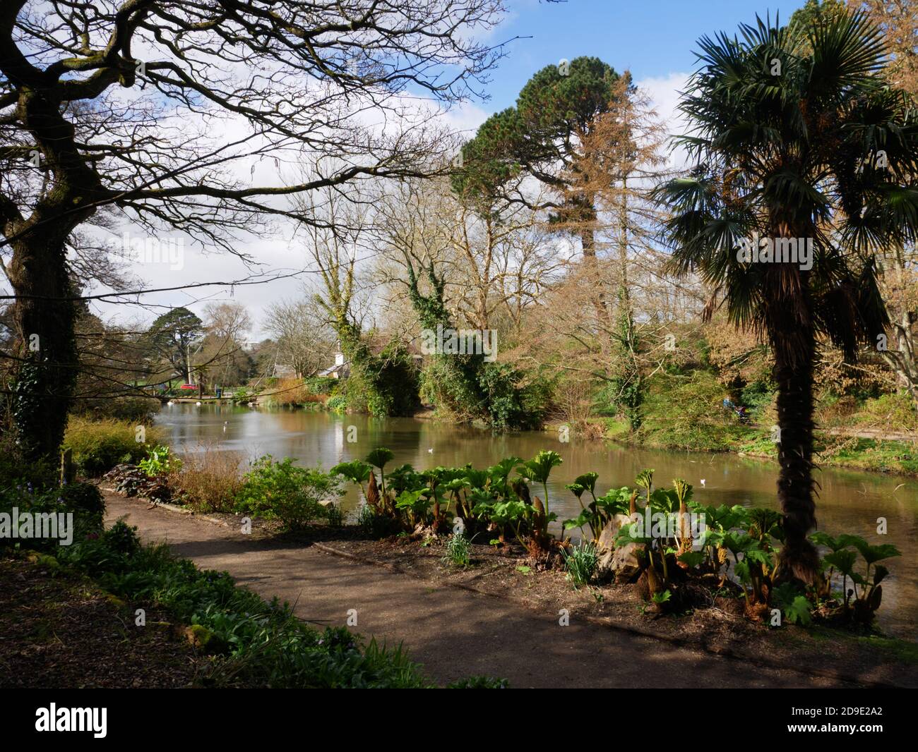 Trennick Mill duck pond, Boscawen Park, Truro, Cornwall Stock Photo Alamy