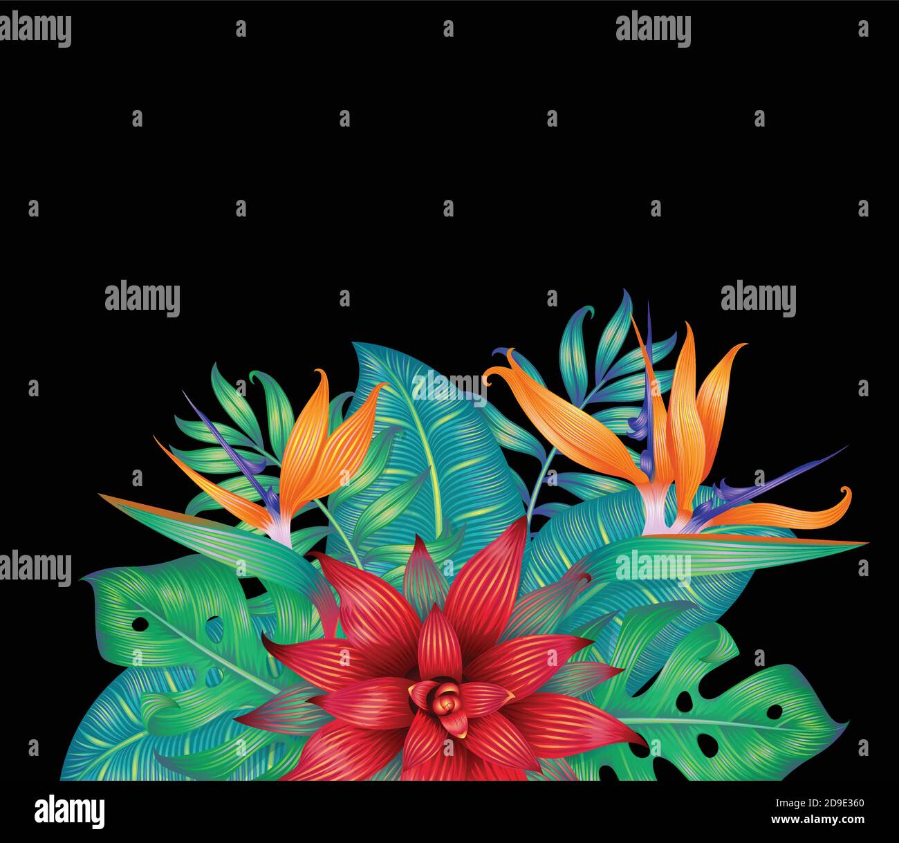 Different tropical leaves and flower isolated on black Stock Vector ...