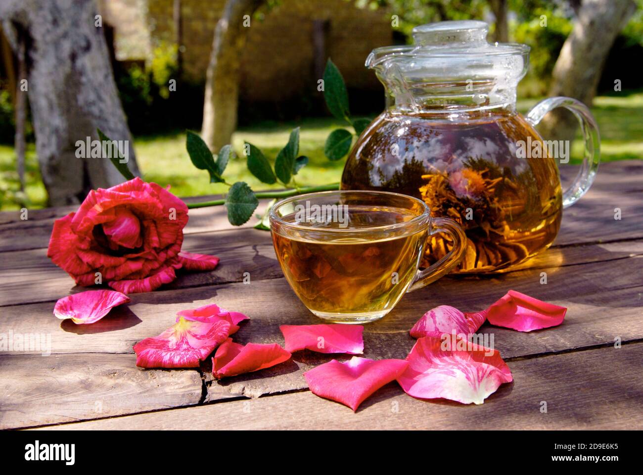 The teapot garden hires stock photography and images Alamy