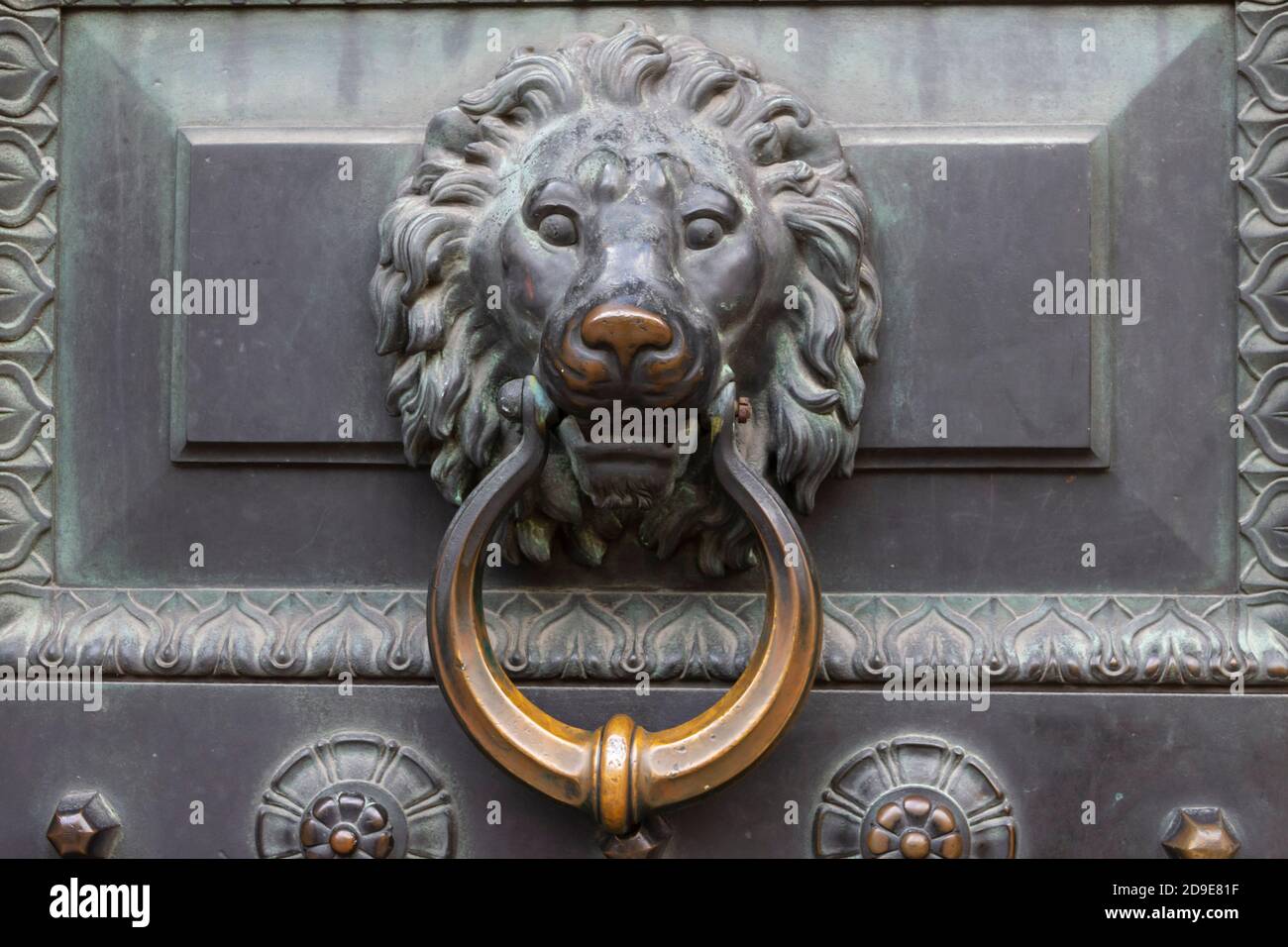 Antique bronze door knocking knob ring in the form of a lion's face on an old door. Stock Photo